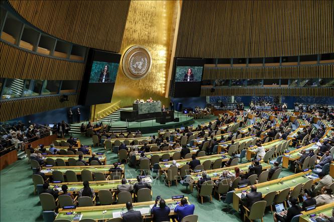 Phỏng vấn Thứ trưởng Lê Hoài Trung sau khi Việt Nam trúng cử Ủy viên không thường trực HĐBA LHQ